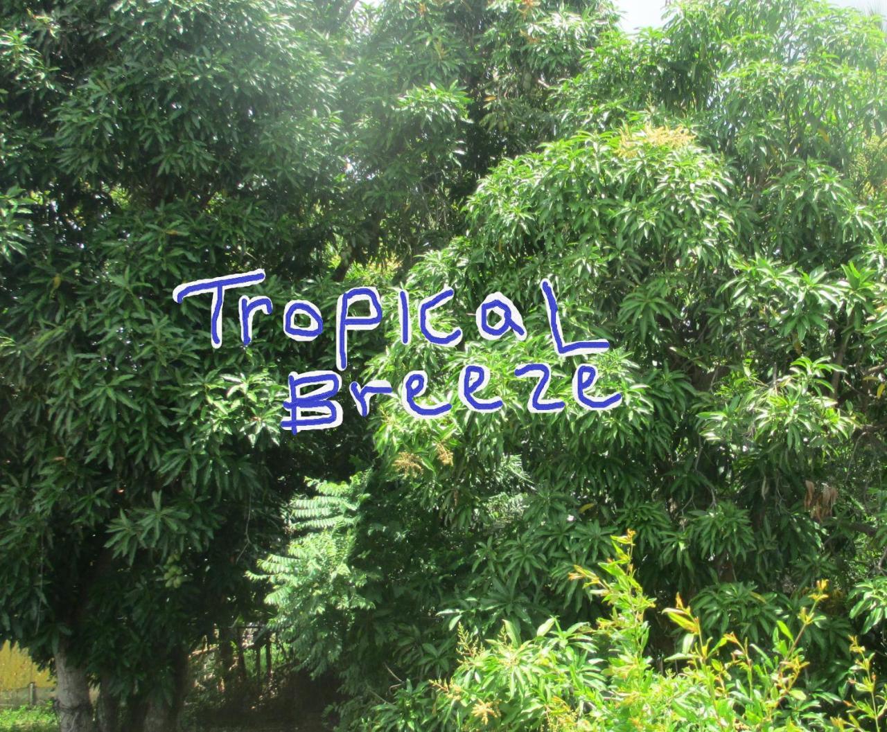 Tropical Breeze Vacation Home And Apartments جزيرة جورس المظهر الخارجي الصورة