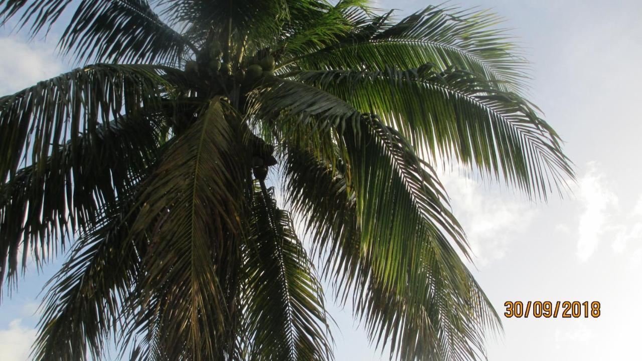 Tropical Breeze Vacation Home And Apartments جزيرة جورس المظهر الخارجي الصورة